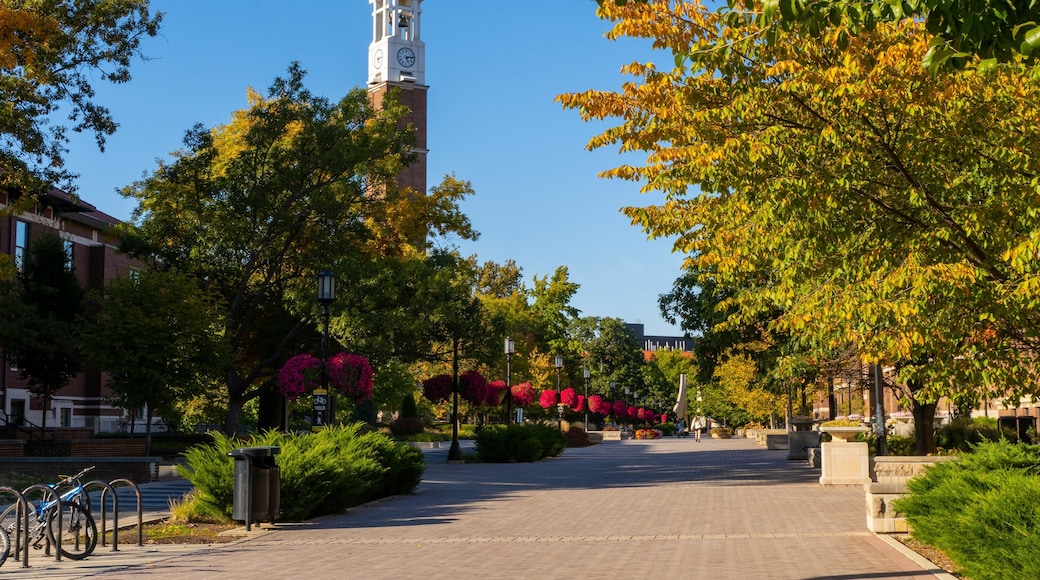 Bell tower surrounded by colorful autumn trees in West Lafayette Campus, Indiana