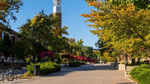 Bell tower surrounded by colorful autumn trees in West Lafayette Campus, Indiana