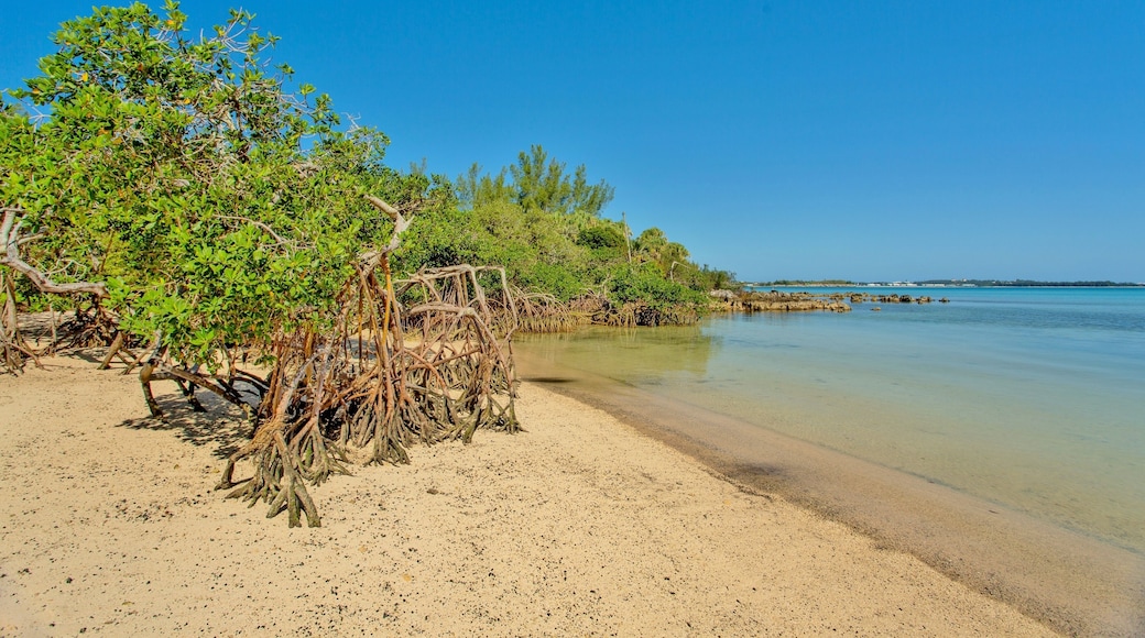 Parroquia de Hamilton