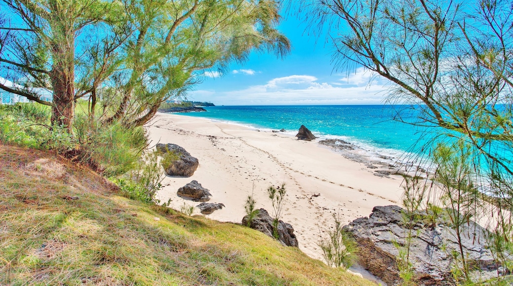 Parroquia de Hamilton