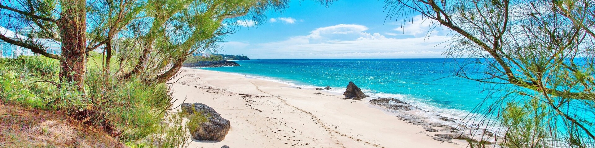 Una playa con agua turquesa cristalina, orilla de arena y vegetación verde.