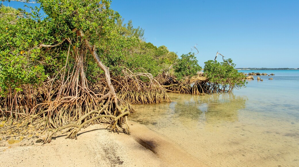 Parroquia de Hamilton