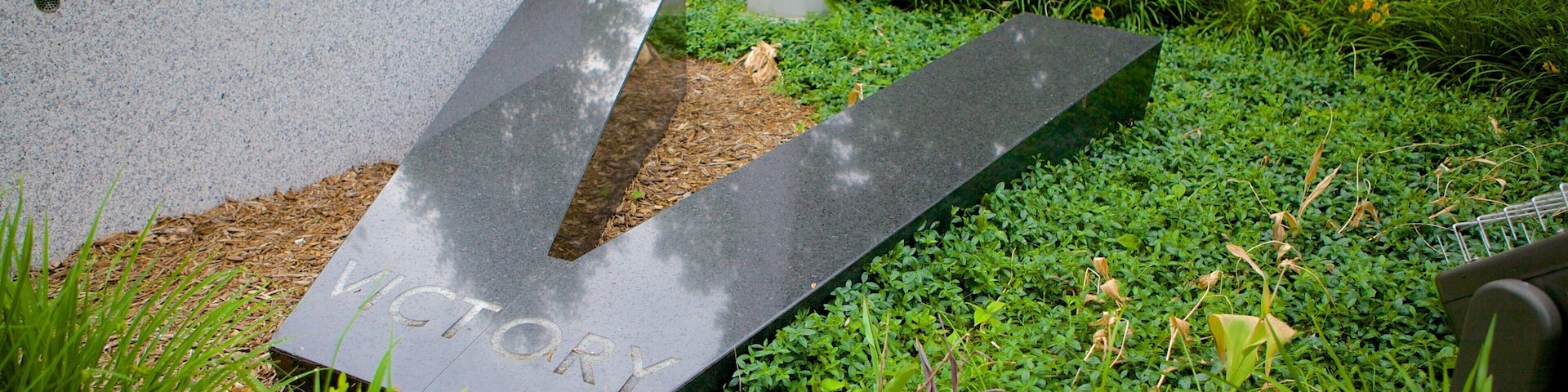 Victoria Park featuring a park and a memorial