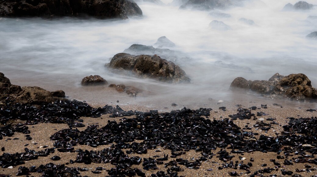 Nice place, nice beach.
