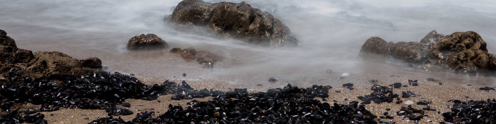 Nice place, nice beach.