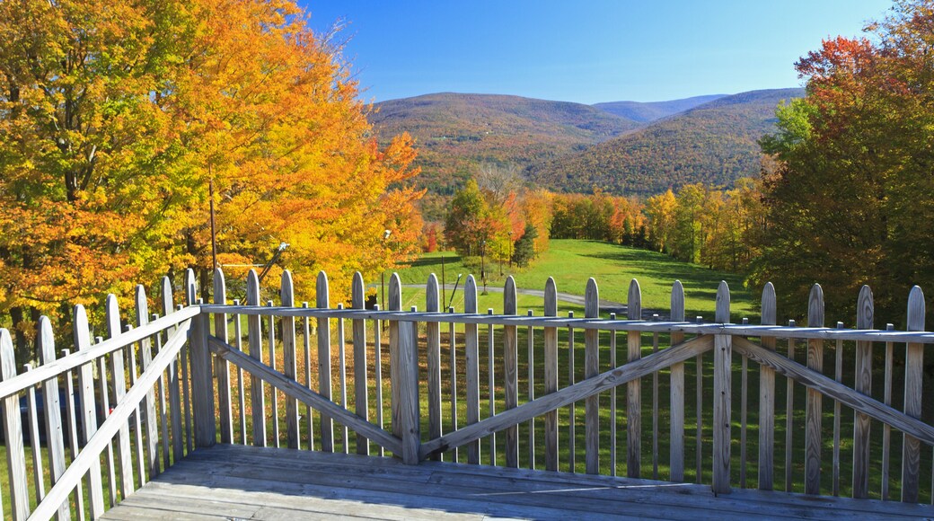 Centro de ski de la montaña Belleayre