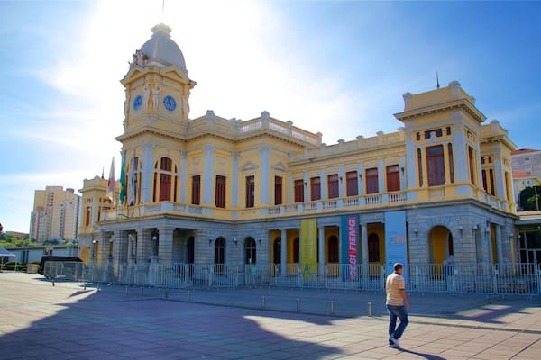 Museum of Arts and Craft showing heritage architecture and a square or plaza as well as an individual male