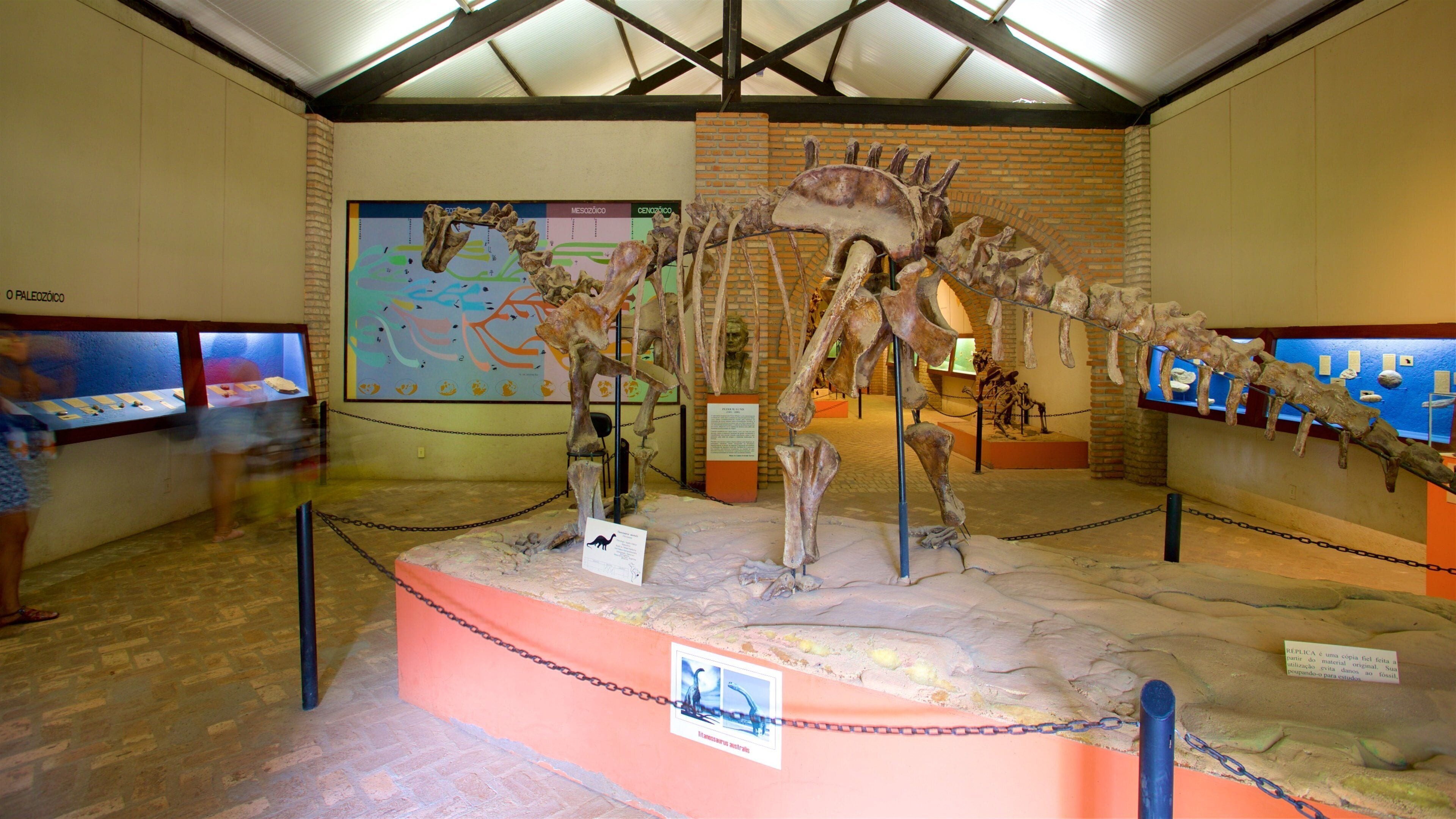 Une exposition de squelette de dinosaure dans un musée.