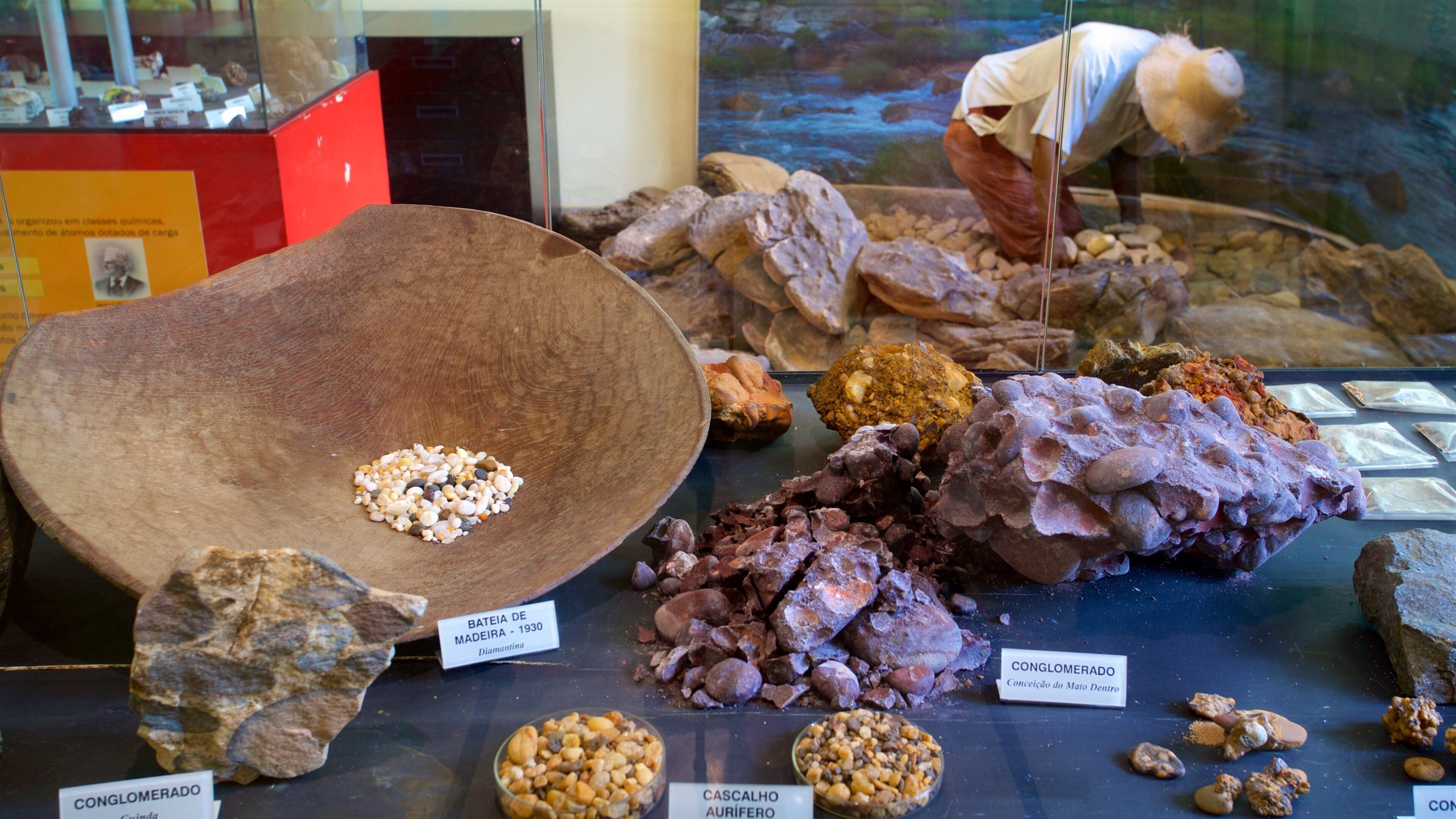 Museo de Historia Natural UFMG ofreciendo vista interna