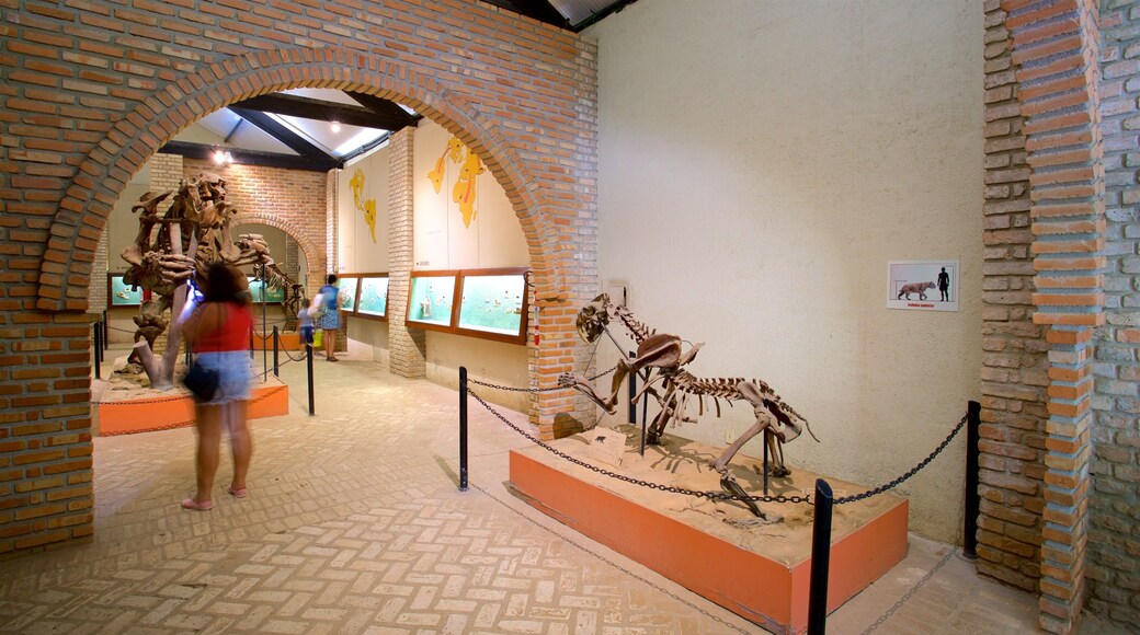 UFMG Museum of Natural History showing interior views