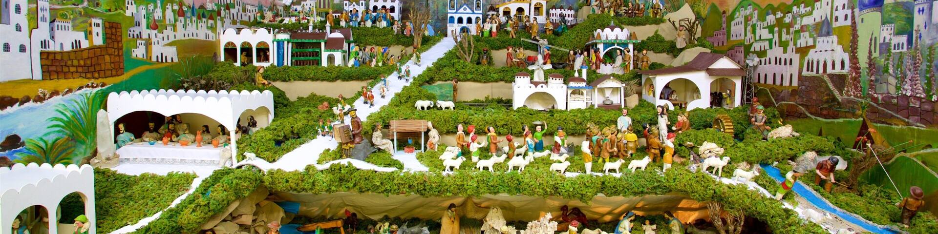 UFMG Museum of Natural History featuring interior views