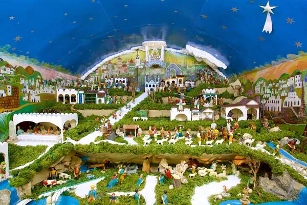 UFMG Museum of Natural History featuring interior views