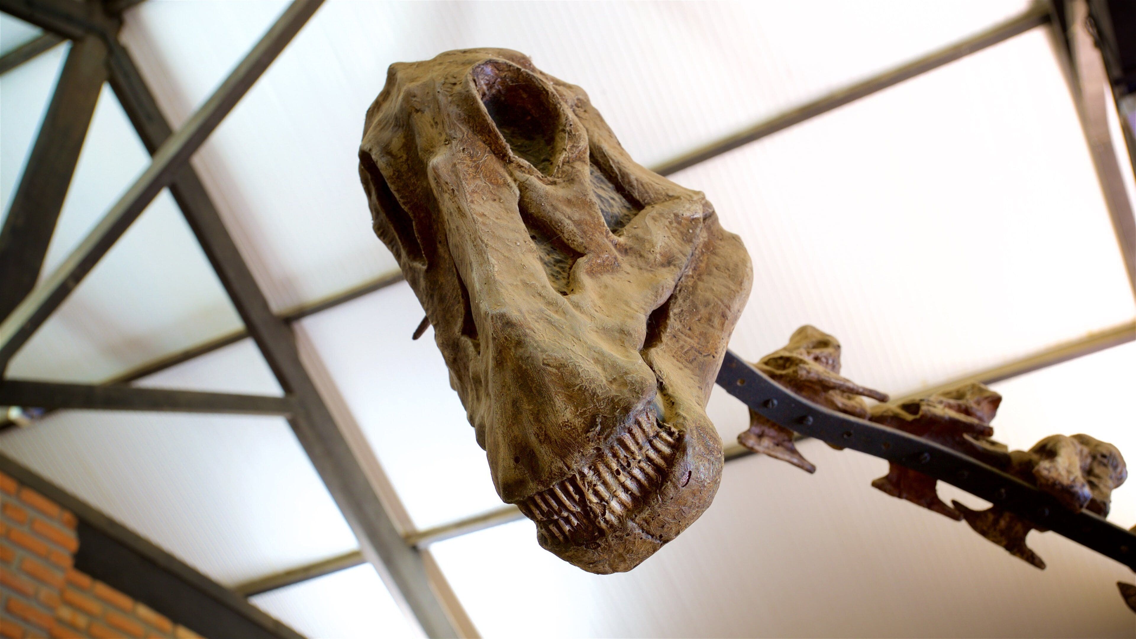 พิพิธภัณฑ์ประวัติศาสตร์ธรรมชาติ UFMG ซึ่งรวมถึง การตกแต่งภายใน