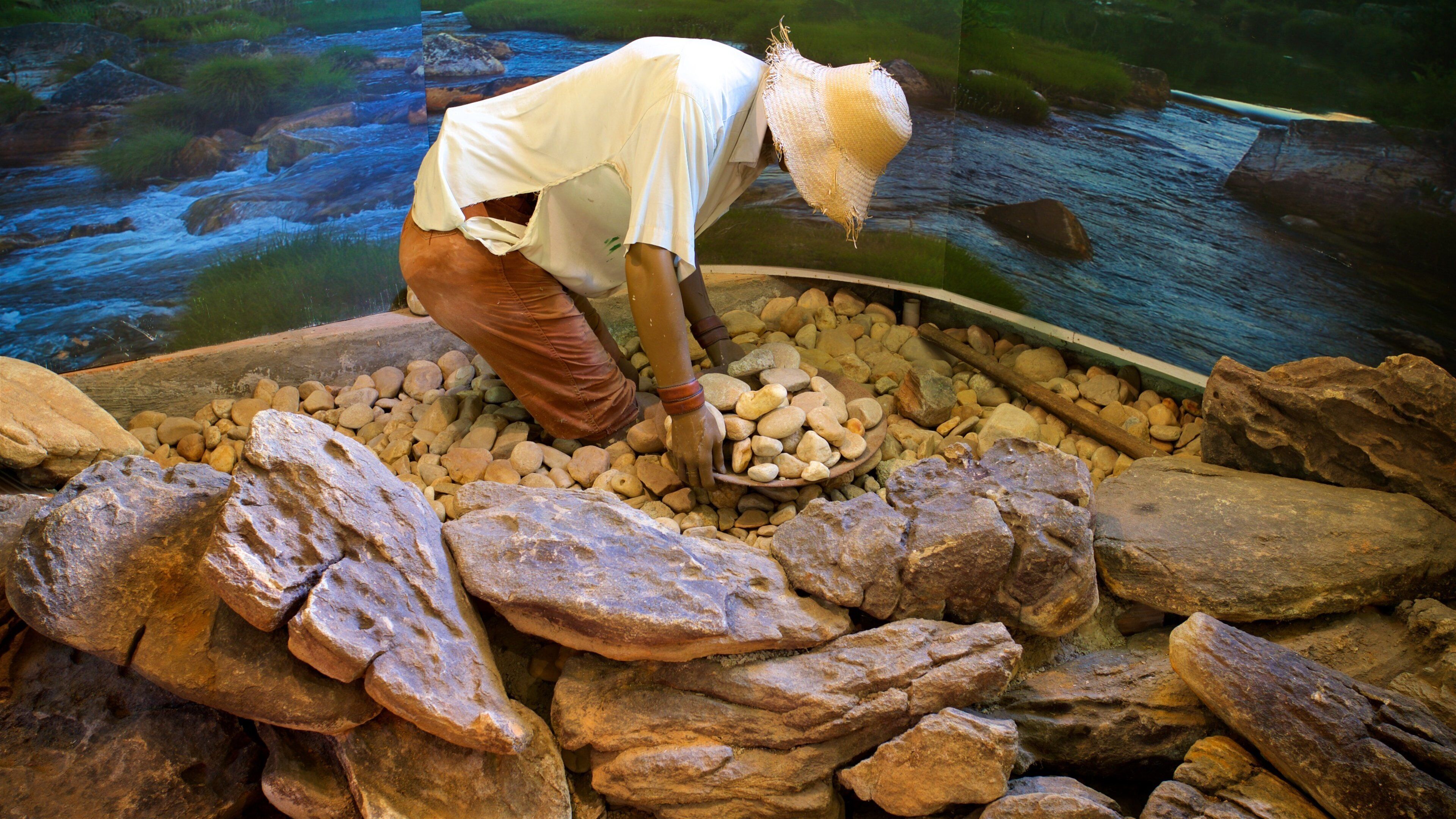 UFMG Museum of Natural History showing interior views