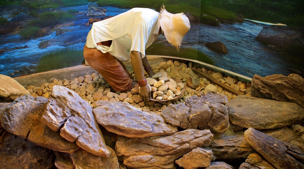 UFMG Museum of Natural History showing interior views