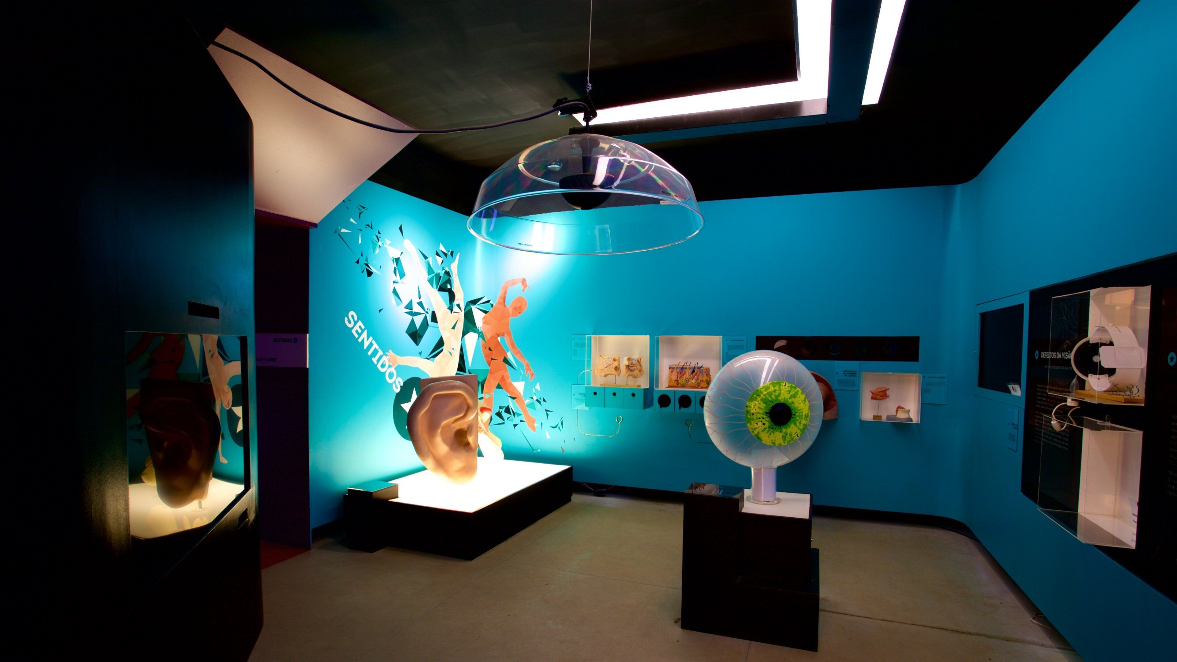 Museo de Historia Natural UFMG ofreciendo vista interna