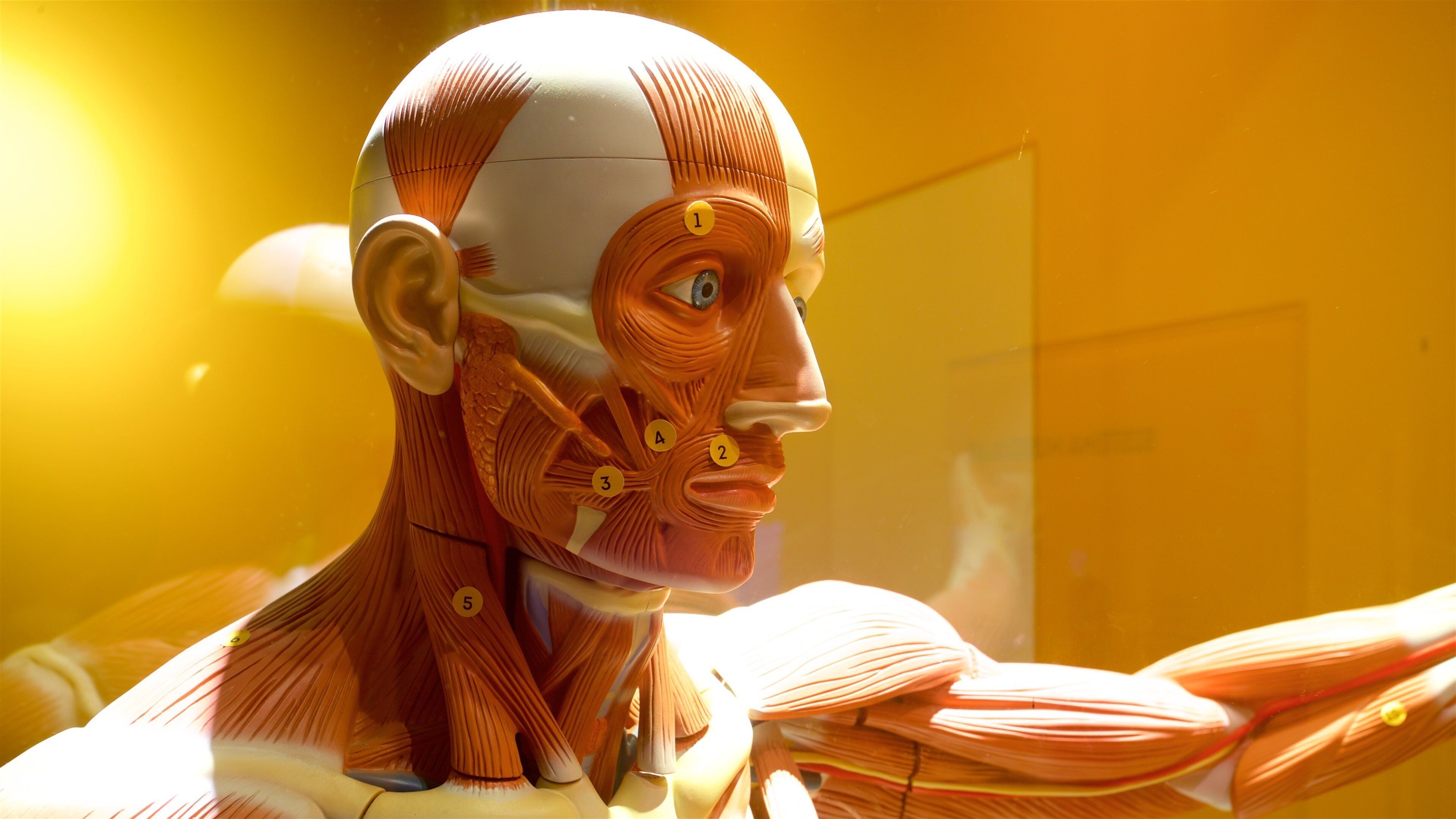 UFMG Museum of Natural History which includes interior views