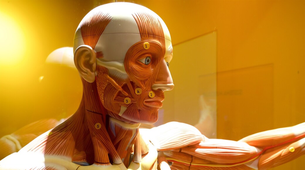 UFMG Museum of Natural History which includes interior views