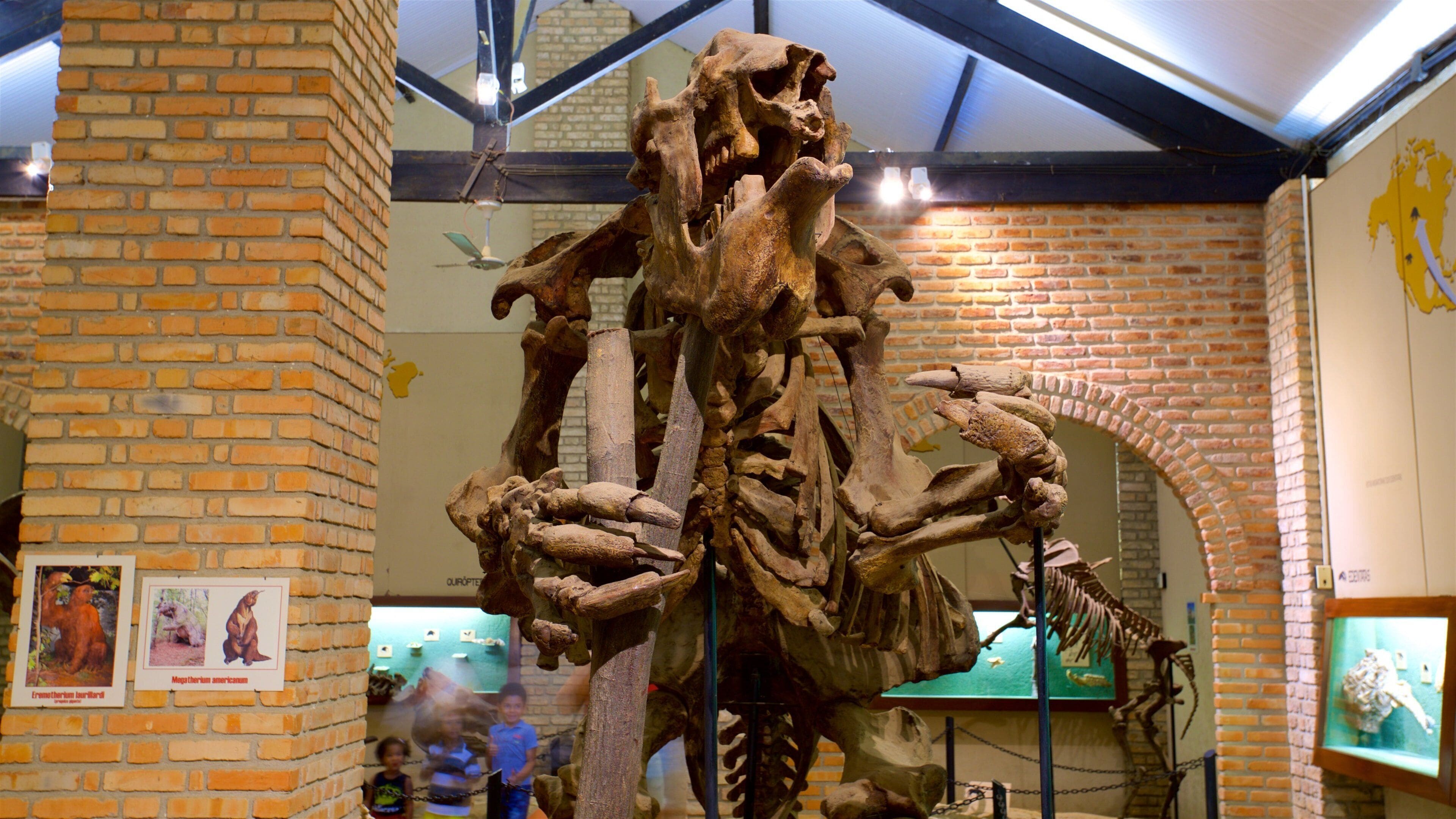 Een groot skelet van een dinosaurus in een museum met bakstenen muren en educatieve posters.