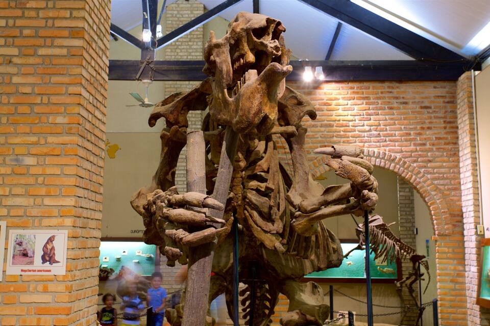Suuressa museossa on esillä valtava dinosauruksen luuranko. Museon seinät ovat tiilestä ja siellä on myös opettavaisia julisteita.