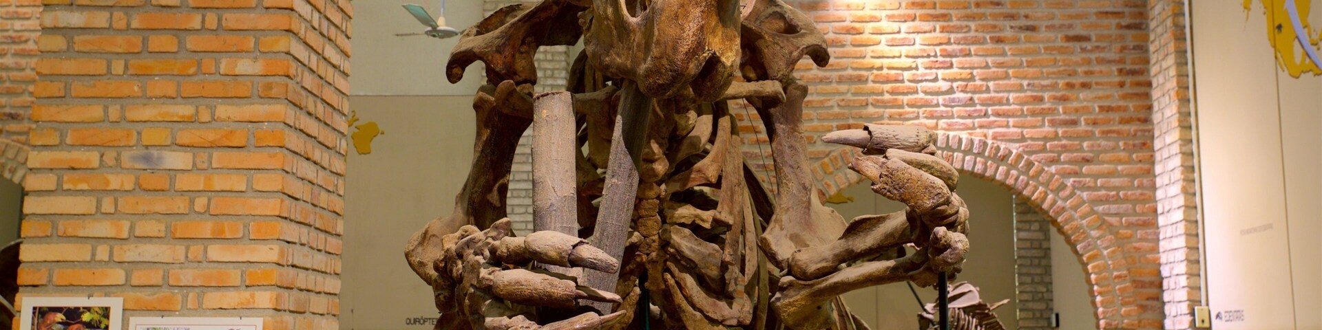 Exposição de um esqueleto grande de dinossauro em museu, com paredes de tijolo e cartazes educativos.