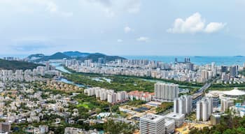 Un paisaje urbano costero con edificios altos y numerosos, un río y montañas al fondo.