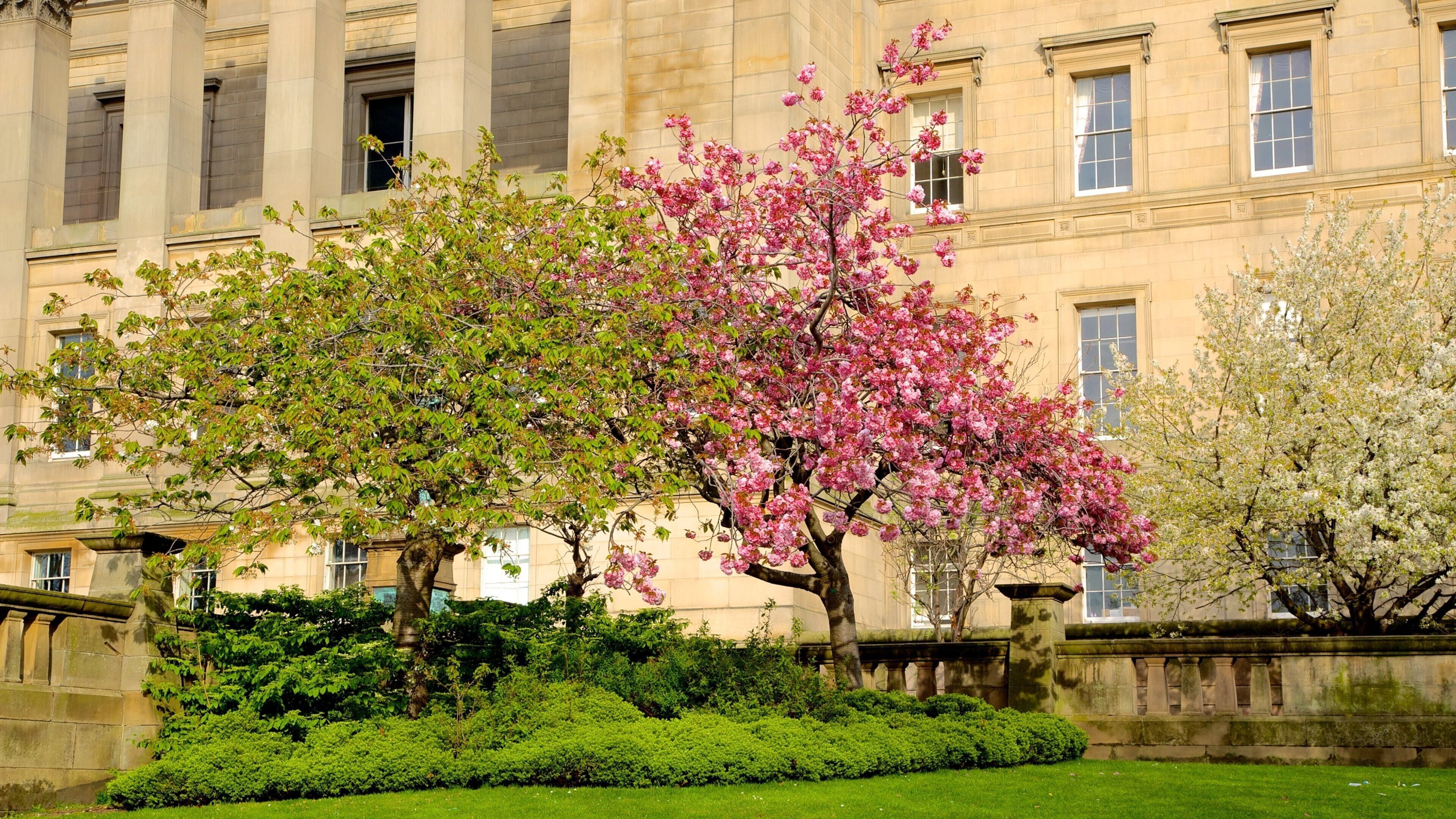 St. George\'s Hall featuring a park and an administrative buidling