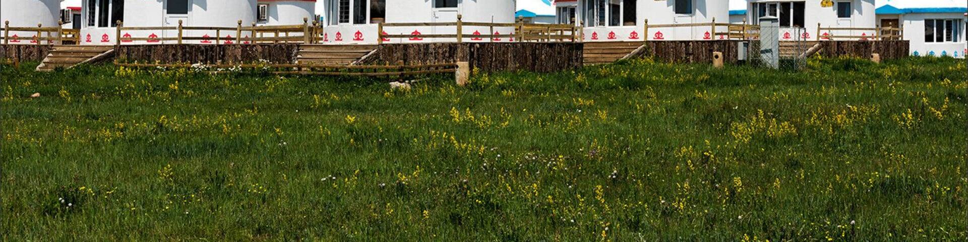 Summer to the #Wulanchabu Grassland of Inner Mongolia,China.
https://twitter.com/Beautifulgx