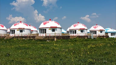 Summer to the #Wulanchabu Grassland of Inner Mongolia,China.
https://twitter.com/Beautifulgx