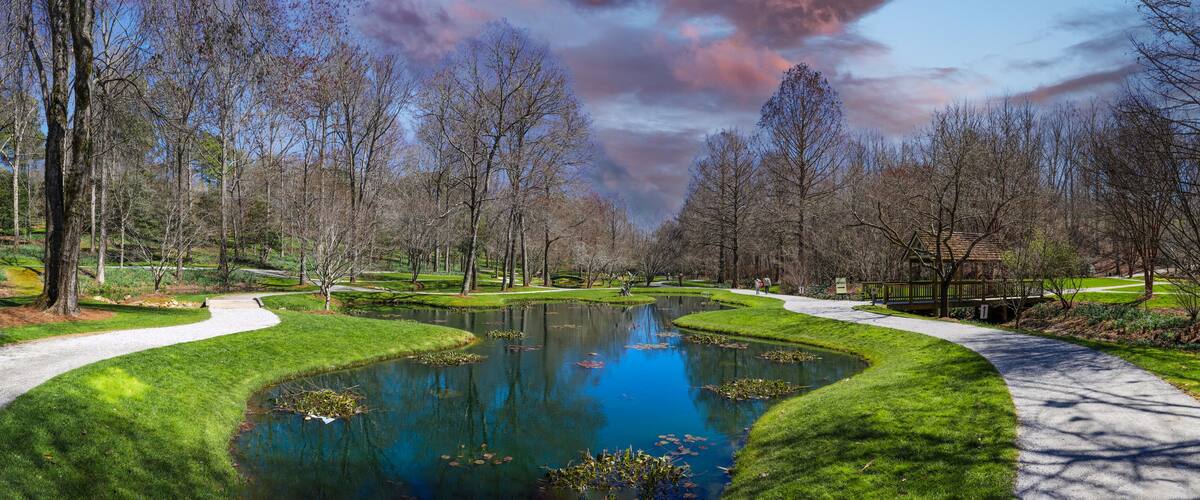 A serene park with a pond, pathways, and a wooden bridge.