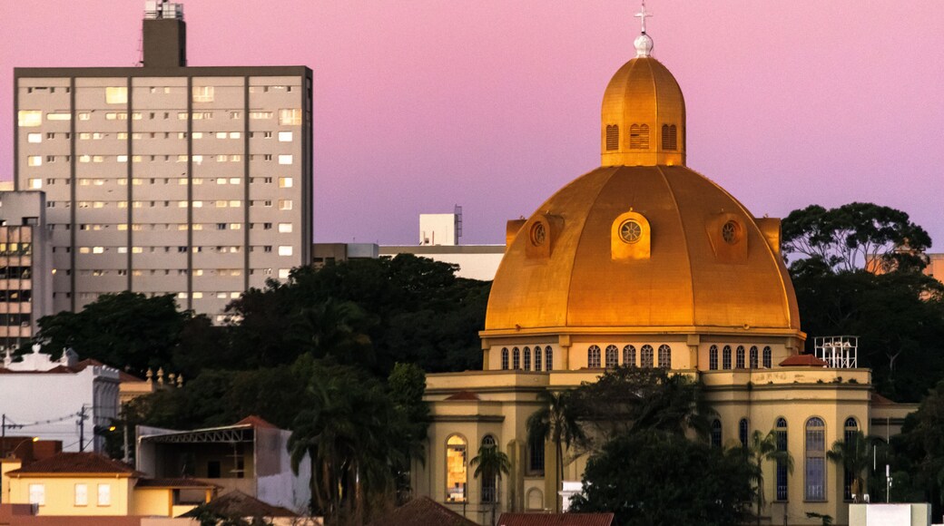 São Carlos Cathedral