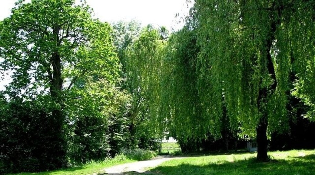 Port de la Hautière