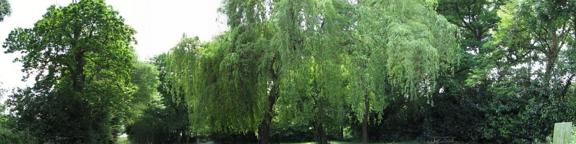 Port de la Hautière