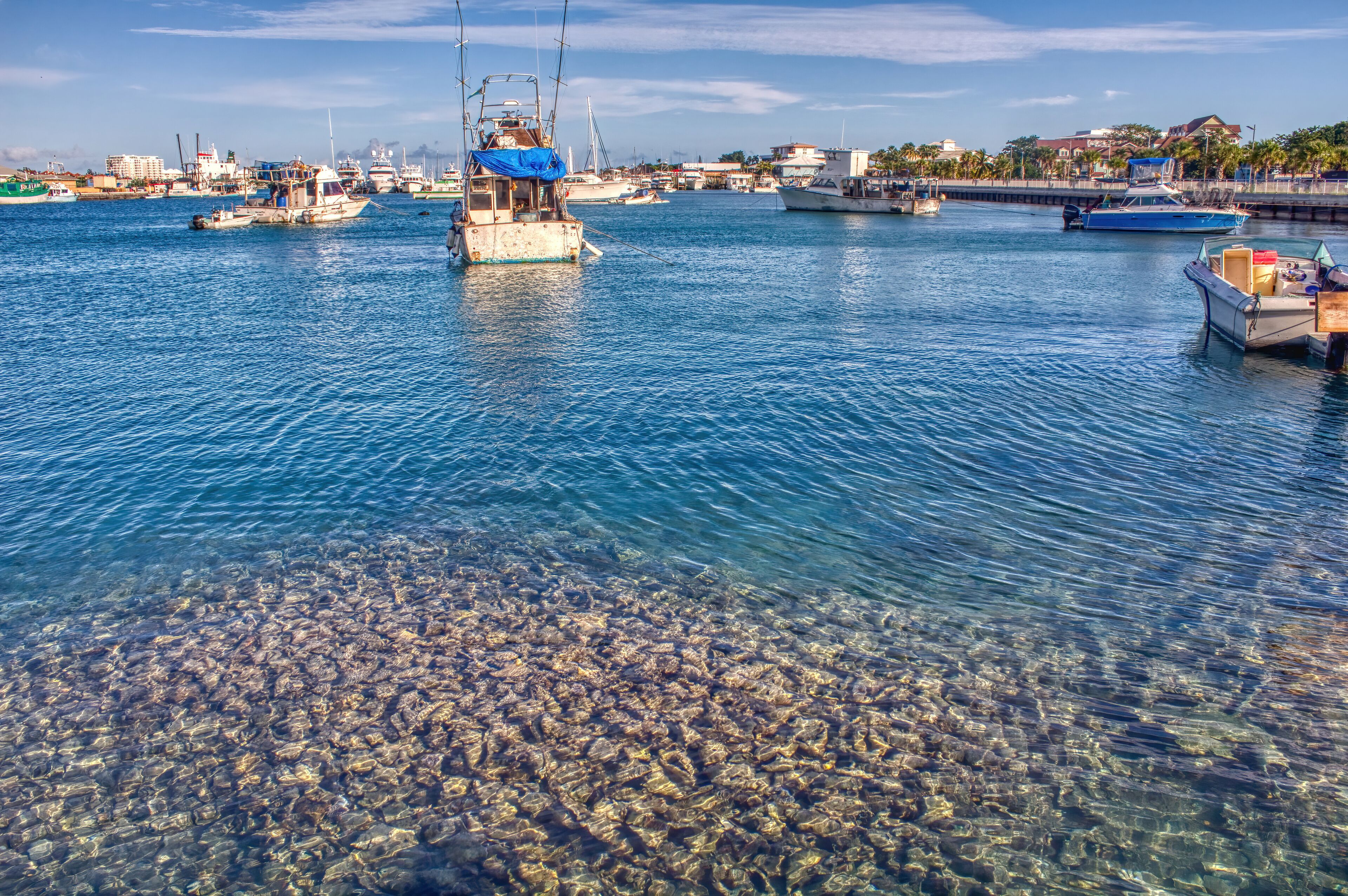 A large pile of discarded Conch Shells in the Harbor of Nassau, Bahamas