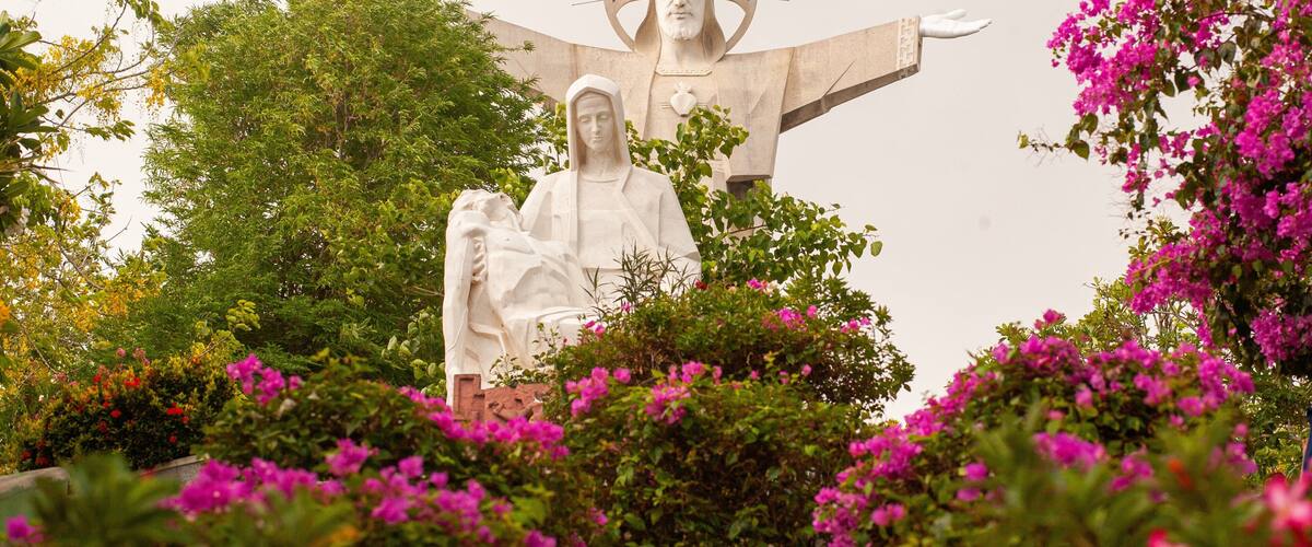 Tuong Dai Chua Kito Vua which includes a monument, a statue or sculpture and wildflowers