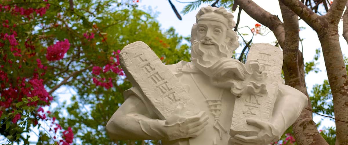 Tuong Dai Chua Kito Vua which includes city views, a statue or sculpture and art