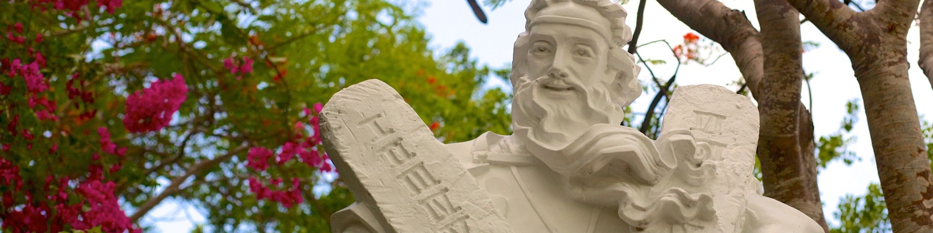 Tuong Dai Chua Kito Vua featuring art, flowers and a statue or sculpture