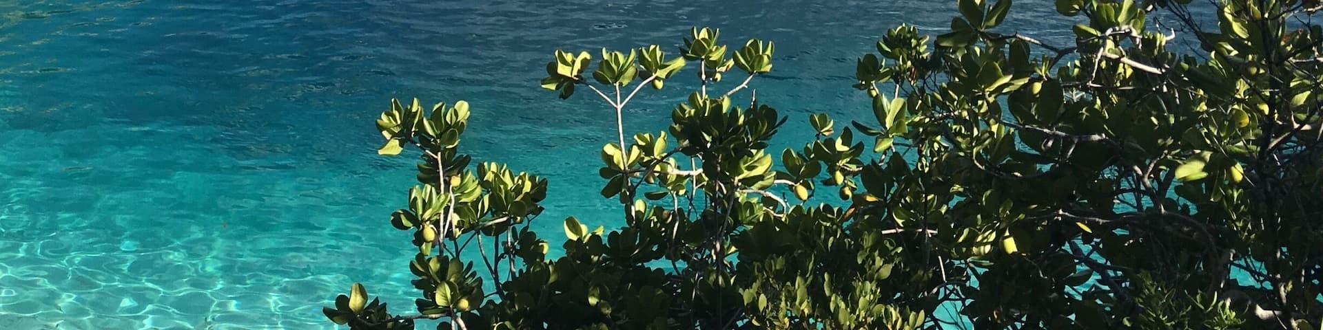 Deans blue hole. Once we got in the water and stood on the edge, my blood pressure rose. It's beautiful and very intimidating! #deadmanscay #bahamas