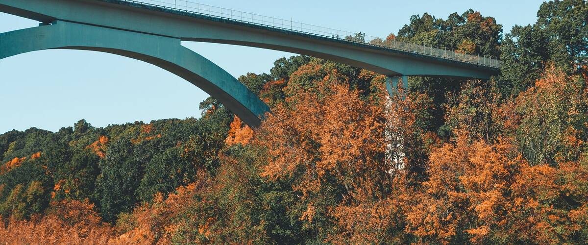 A bridge with a curved arch over a forested hillside.