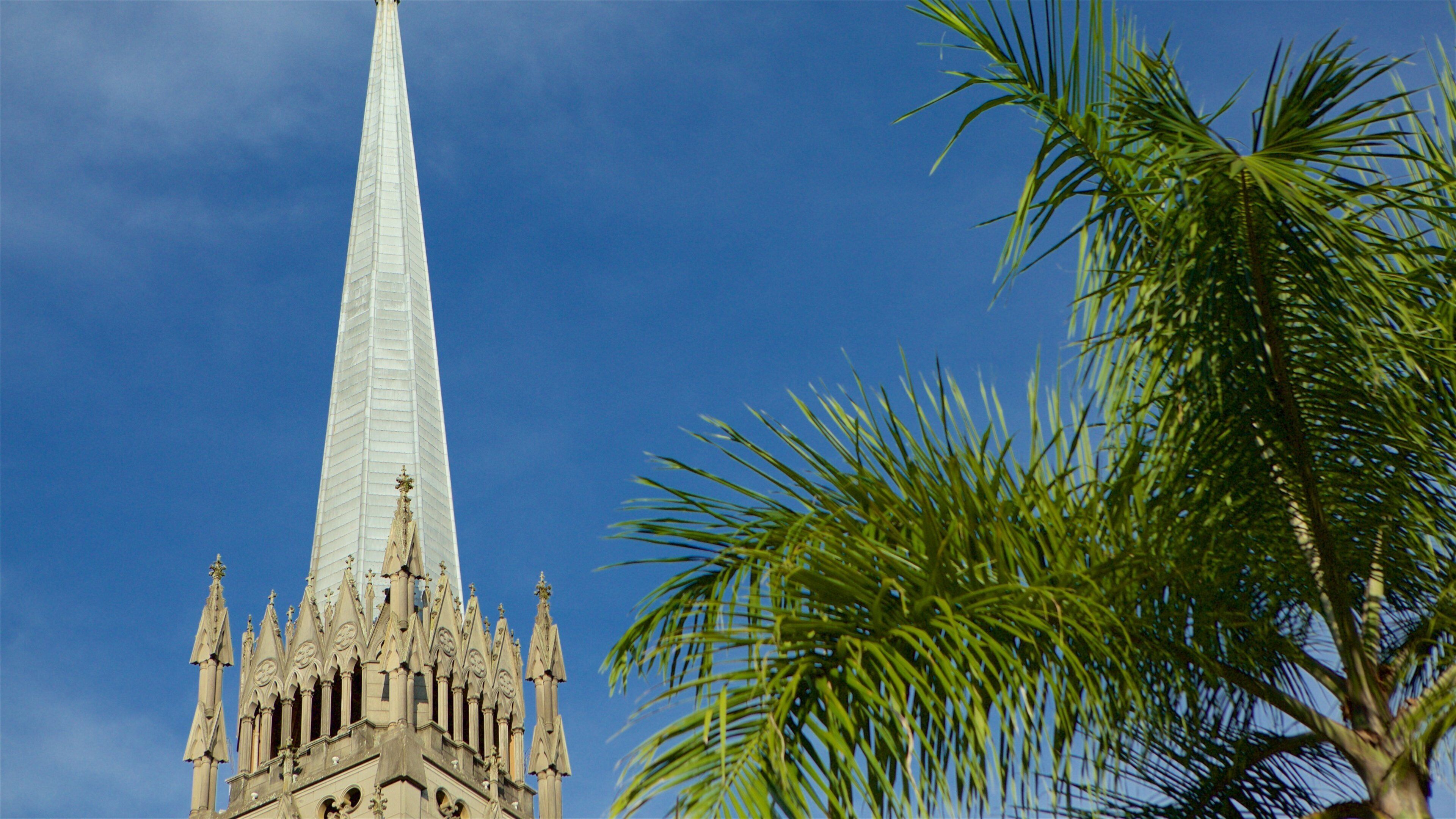Cathedral of Saint Peter of Alcantara