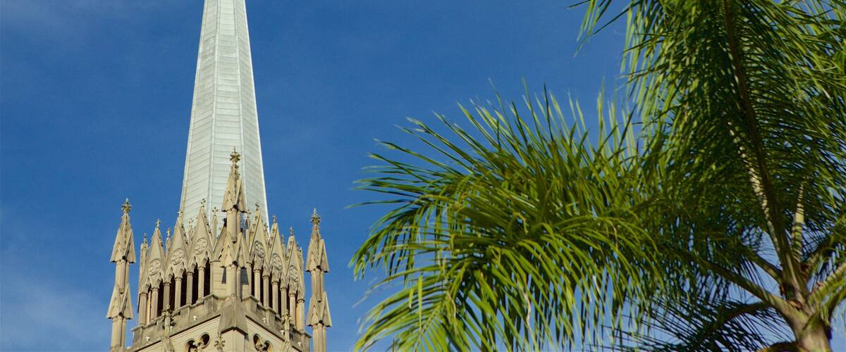 Kathedraal van St. Peter van Alcantara bevat tropische uitzichten en historisch erfgoed