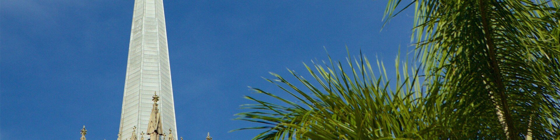 Cathedral of Saint Peter of Alcantara