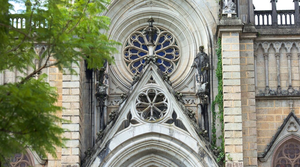 Cathedral of Saint Peter of Alcantara which includes heritage elements and a church or cathedral