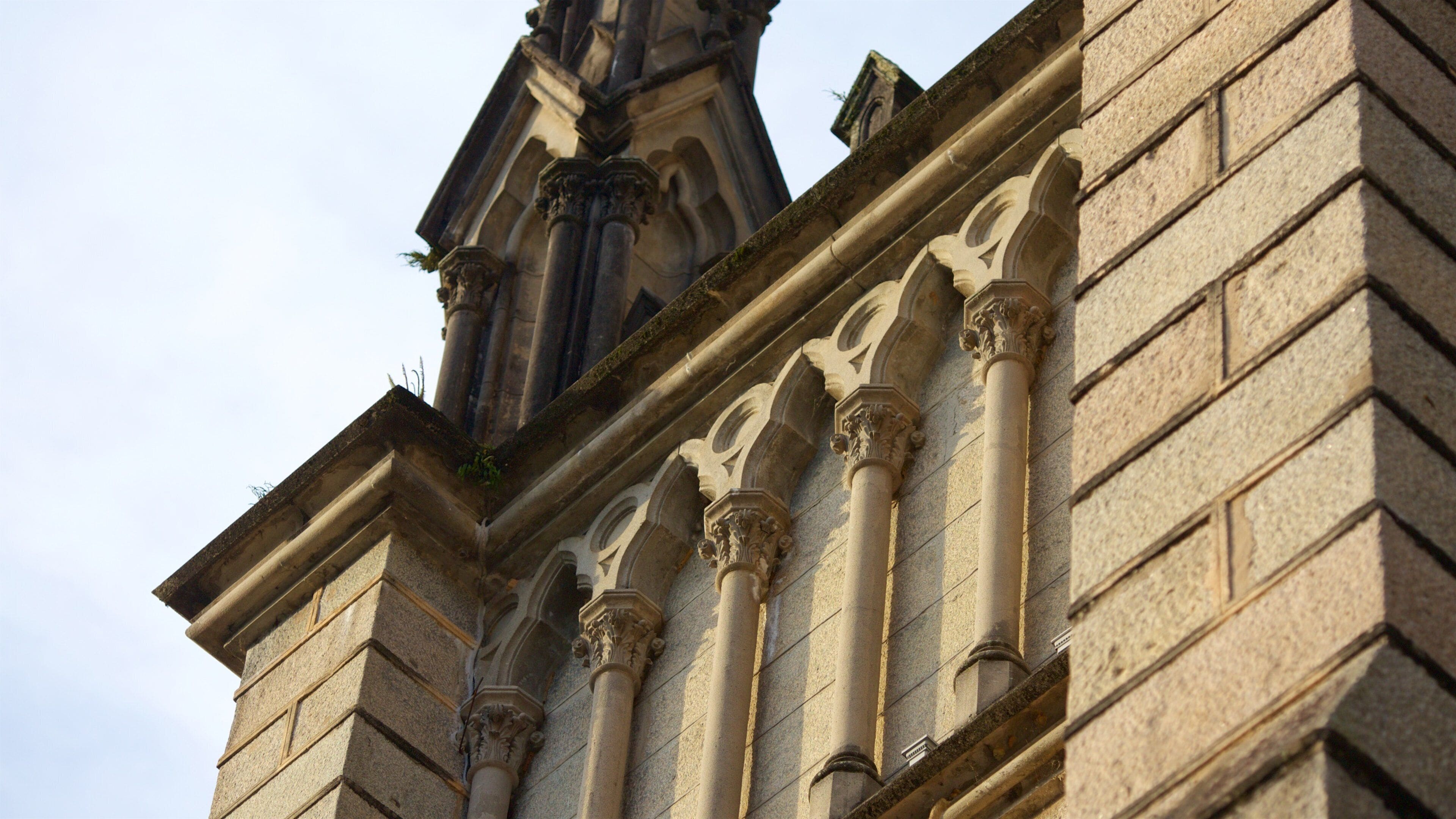 Cathedral of Saint Peter of Alcantara