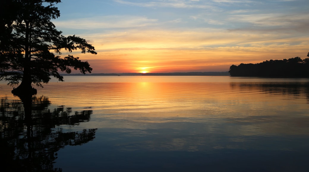 Sunrise on Reelfoot Lake, Tennessee