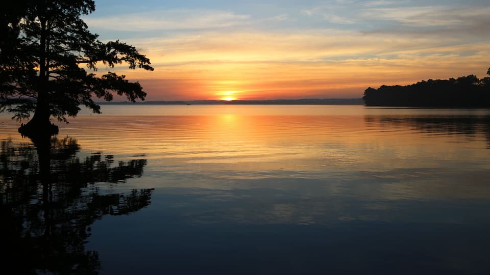 A calm lake at sunset with a silhouette of a tree on the left and a distant shoreline.