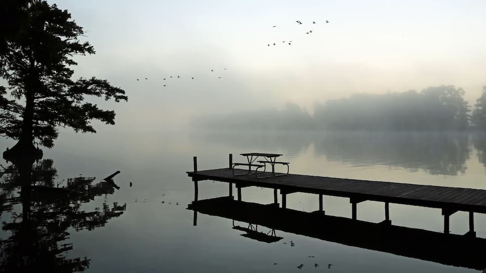 A serene lake with a wooden dock and picnic table, surrounded by trees and mist.