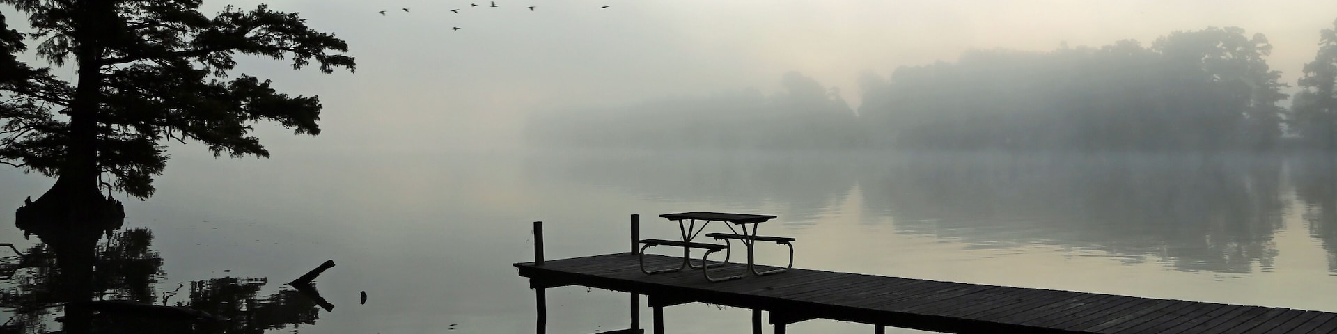 The pier at sunrise - Reelfoot Lake State Park, Tennessee