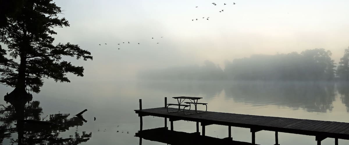 The pier at sunrise - Reelfoot Lake State Park, Tennessee