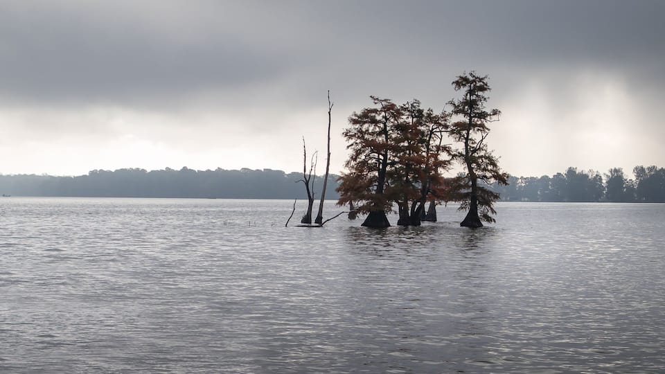 A calm lake with trees partially submerged in water, a distant shoreline, and a cloudy sky.